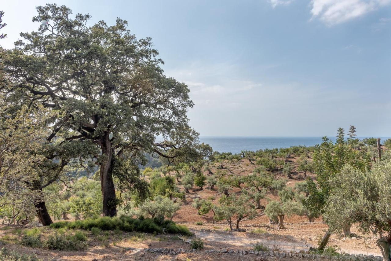 Deia Semi-Detached Sunny Country House, Near Gr221 Buitenkant foto